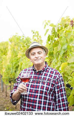 "Winemaker or vintner standing with a glass of red wine in his vineyard, Rhineland-Palatinate, Germany, Europe" View Large Photo Image Stock Image - "Winemaker or vintner standing with a glass of red wine in his vineyard, Rhineland-Palatinate, Germany, Europe". Fotosearch