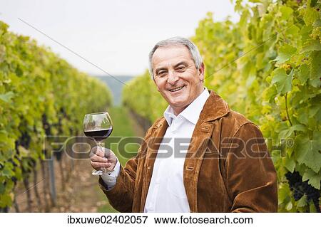 "Winemaker or vintner standing with a glass of red wine in his vineyard, Rhineland-Palatinate, Germany, Europe" View Large Photo Image Stock Photo - "Winemaker or vintner standing with a glass of red wine in his vineyard, Rhineland-Palatinate, Germany, Europe". Fotosearch