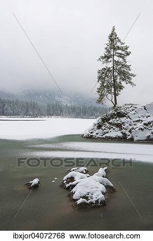 "Winter at Hintersee, Berchtesgaden National Park, Berchtesgaden District, Upper Bavaria, Bavaria, Germany, Europe" View Large Photo Image Stock Photo - "Winter at Hintersee, Berchtesgaden National Park, Berchtesgaden District, Upper Bavaria, Bavaria, Germany, Europe". Fotosearch