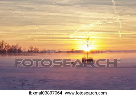 "Winter landscape, Federsee Lake Nature Reserve, near Bad Buchau, Upper Swabia, Baden-Wurttemberg, Germany, Europe" View Large Photo Image Picture - "Winter landscape, Federsee Lake Nature Reserve, near Bad Buchau, Upper Swabia, Baden-Wurttemberg, Germany, Europe". Fotosearch