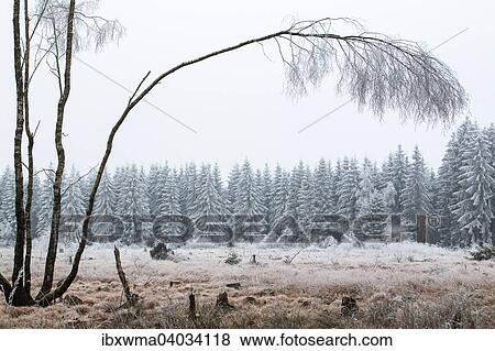 "Winter landscape, Hesse, Germany, Europe" View Large Photo Image Stock Photo - "Winter landscape, Hesse, Germany, Europe". Fotosearch