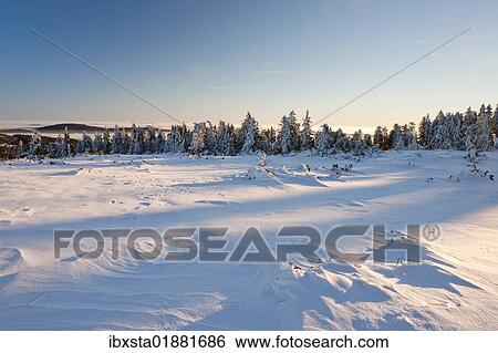 "Winter landscape in the northern Black Forest, Baden-Wuerttemberg, Germany, Europe" View Large Photo Image Stock Photograph - "Winter landscape in the northern Black Forest, Baden-Wuerttemberg, Germany, Europe". Fotosearch