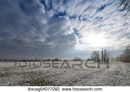 "Winter landscape, Monchbruch nature reserve, Monchwiesen, Morfelden-Walldorf, Hesse, Germany, Europe" View Large Photo Image Stock Image - "Winter landscape, Monchbruch nature reserve, Monchwiesen, Morfelden-Walldorf, Hesse, Germany, Europe". Fotosearch