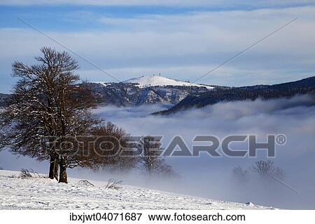 "Winter landscape on the Feldberg mountain, atmospheric inversion, Black Forest, Baden-Wurttemberg, Germany, Europe" View Large Photo Image Stock Photo - "Winter landscape on the Feldberg mountain, atmospheric inversion, Black Forest, Baden-Wurttemberg, Germany, Europe". Fotosearch