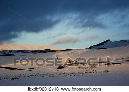 "Winter landscape, overlooking Vatnajoekull Glacier, Icelandic Highlands, Iceland, Europe" View Large Photo Image Stock Photo - "Winter landscape, overlooking Vatnajoekull Glacier, Icelandic Highlands, Iceland, Europe". Fotosearch