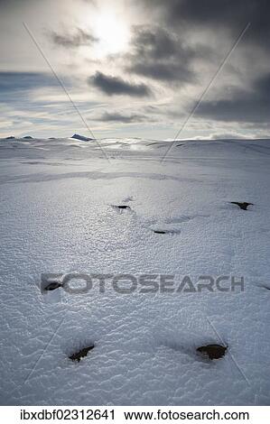 "Winter landscape, view towards Vatnajoekull Glacier, Icelandic Highlands, Iceland, Europe" View Large Photo Image Stock Image - "Winter landscape, view towards Vatnajoekull Glacier, Icelandic Highlands, Iceland, Europe". Fotosearch
