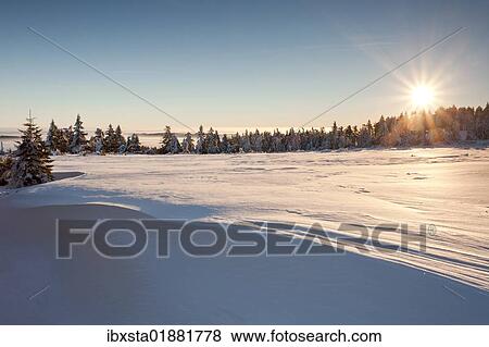 "Winter landscape with sun in the northern Black Forest, Baden-Wuerttemberg, Germany, Europe" View Large Photo Image Stock Photo - "Winter landscape with sun in the northern Black Forest, Baden-Wuerttemberg, Germany, Europe". Fotosearch
