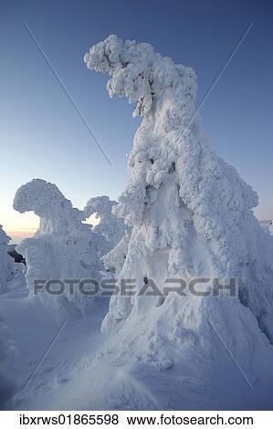 "Winter morning on Mt. Brocken, Saxony-Anhalt, Germany, Europe" View Large Photo Image Stock Photo - "Winter morning on Mt. Brocken, Saxony-Anhalt, Germany, Europe". Fotosearch