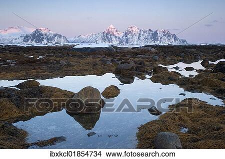 "Wintery coast of Nedredal at Gimsoystraumen Fjord, view towards the Lofoten Island of Austvagoya and the Lyngvaerfjellet Mountains, Vestvagoya, Lofoten, Nordland, Norway, Europe" View Large Photo Image Picture - "Wintery coast of Nedredal at Gimsoystraumen Fjord, view towards the Lofoten Island of Austvagoya and the Lyngvaerfjellet Mountains, Vestvagoya, Lofoten, Nordland, Norway, Europe". Fotosearch