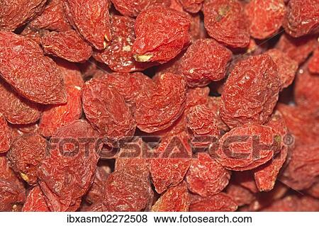 "Wolfberries or Goji Berries (Lycium barbarum), part of Chinese cuisine and traditional Chinese medicine" View Large Photo Image Stock Photo - "Wolfberries or Goji Berries (Lycium barbarum), part of Chinese cuisine and traditional Chinese medicine". Fotosearch