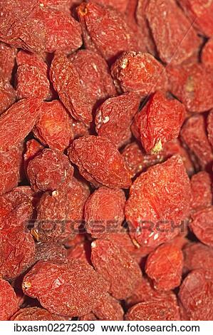 "Wolfberries or Goji Berries (Lycium barbarum), part of Chinese cuisine and traditional Chinese medicine" View Large Photo Image Stock Photo - "Wolfberries or Goji Berries (Lycium barbarum), part of Chinese cuisine and traditional Chinese medicine". Fotosearch