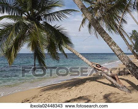 "Woman, 45, relaxing by lying on a palm tree, Punta Uva, Puerto Viejo de Talamanca, Costa Rica, Central America, North America" View Large Photo Image Stock Image - "Woman, 45, relaxing by lying on a palm tree, Punta Uva, Puerto Viejo de Talamanca, Costa Rica, Central America, North America". Fotosearch