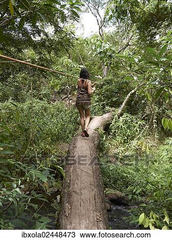 "Woman balancing on a tree trunk, Las Pailas, Ricon de la Vieja National Park, Province of Guanacaste, Costa Rica, Central America, North America" View Large Photo Image Stock Image - "Woman balancing on a tree trunk, Las Pailas, Ricon de la Vieja National Park, Province of Guanacaste, Costa Rica, Central America, North America". Fotosearch