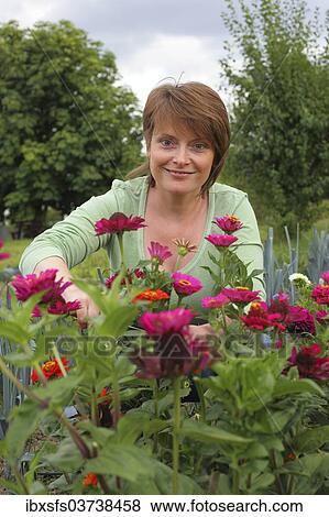 "Woman cutting flowers in a garden, Hesse, Germany, Europe" View Large Photo Image Stock Photo - "Woman cutting flowers in a garden, Hesse, Germany, Europe". Fotosearch