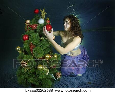 "Woman decorating Christmas tree under water in a pool, Odessa, Ukraine, Eastern Europe, Europe" View Large Photo Image Stock Photo - "Woman decorating Christmas tree under water in a pool, Odessa, Ukraine, Eastern Europe, Europe". Fotosearch