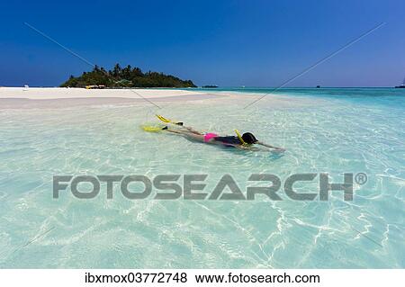 "Woman snorkelling in a lagoon, Indian Ocean, Maldives, Asia" View Large Photo Image Stock Photo - "Woman snorkelling in a lagoon, Indian Ocean, Maldives, Asia". Fotosearch