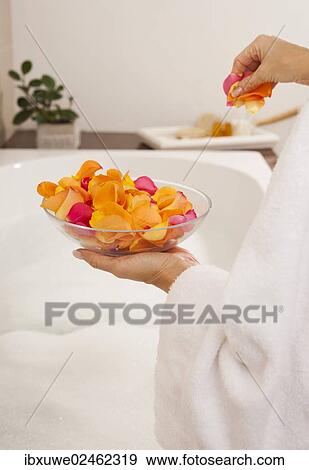 Woman sprinkling rose petals in a bathtub View Large Photo Image Stock Photo - Woman sprinkling rose petals in a bathtub. Fotosearch
