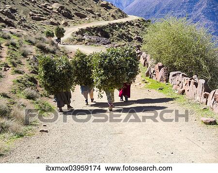 "Women carrying heavy loads on a path in the Atlas Mountains, in the mud-brick village of Anammer, Ourika Valley, Marrakech-Tensift-Al Haouz, Morocco, Africa" View Large Photo Image Picture - "Women carrying heavy loads on a path in the Atlas Mountains, in the mud-brick village of Anammer, Ourika Valley, Marrakech-Tensift-Al Haouz, Morocco, Africa". Fotosearch