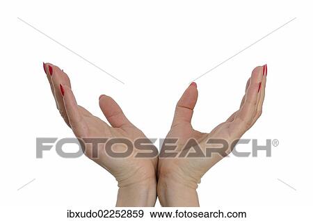 "Women's hands, open" View Large Photo Image Stock Photo - "Women's hands, open". Fotosearch