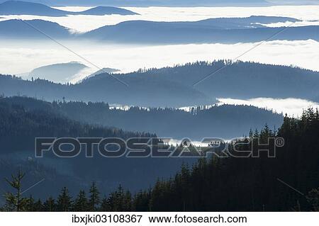 "Wooded hills, fog, Seebach, Nordschwarzwald, Schwarzwald, Baden-Wurttemberg, Germany, Europe" View Large Photo Image Stock Photo - "Wooded hills, fog, Seebach, Nordschwarzwald, Schwarzwald, Baden-Wurttemberg, Germany, Europe". Fotosearch