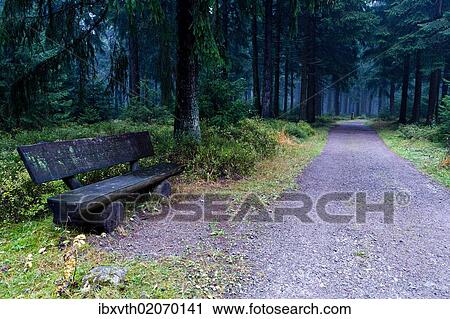 "Wooden bench, coniferous forest near Masserberg, Thuringian Slate Mountains, Thuringia, Germany, Europe" View Large Photo Image Stock Image - "Wooden bench, coniferous forest near Masserberg, Thuringian Slate Mountains, Thuringia, Germany, Europe". Fotosearch