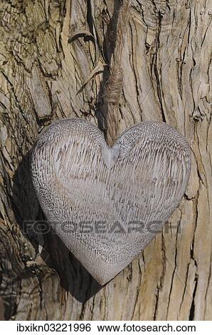 Stock Photograph - Wooden heart on a tree trunk. Fotosearch