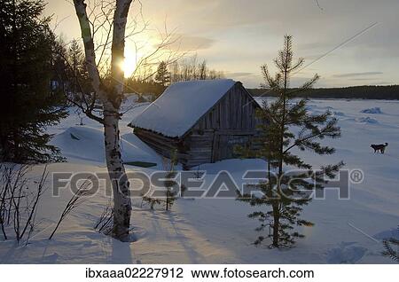"Wooden house in Arctic landscape, White Sea, Kareliya, north Russia" View Large Photo Image Stock Image - "Wooden house in Arctic landscape, White Sea, Kareliya, north Russia". Fotosearch