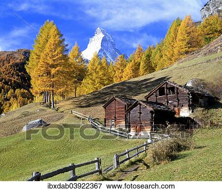 Stock Photo - "Wooden huts in front of larch trees with autumnal foliage and Mt Matterhorn, near Zermatt, Canton of Valais, Switzerland, Europe". Fotosearch