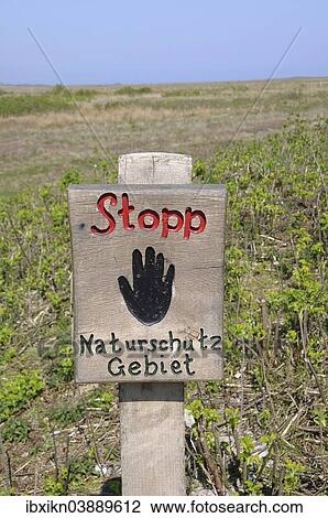 "Wooden sign, """"Stopp Naturschutzgebiet"""", German for """"stop, no entry, this is a nature reserve"""", Schleimunde, Schleswig-Holstein, Germany, Europe" View Large Photo Image Stock Image - "Wooden sign, """"Stopp Naturschutzgebiet"""", German for """"stop, no entry, this is a nature reserve"""", Schleimunde, Schleswig-Holstein, Germany, Europe". Fotosearch