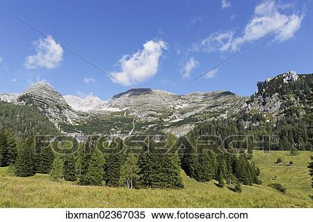 Stock Photography - "Wurzeralm alp, Warscheneck mountain and Toter Mann mountain, Spital am Pyhrn, Pyhrn-Priel, Traunviertel region, Upper Austria, Austria, Europe". Fotosearch