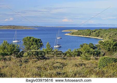 "Yachts anchored in a bay, Cape Kamenjak, Premantura, Istria, Croatia, Europe" View Large Photo Image Stock Photograph - "Yachts anchored in a bay, Cape Kamenjak, Premantura, Istria, Croatia, Europe". Fotosearch