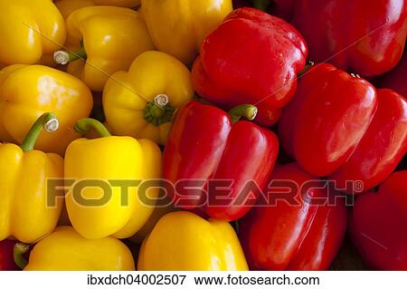 Yellow and red peppers View Large Photo Image Stock Photo - Yellow and red peppers. Fotosearch