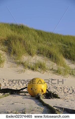Stock Photography - "Yellow buoy, sandy beach, North Sea, Amrum, Schleswig-Holstein, Germany, Europe". Fotosearch