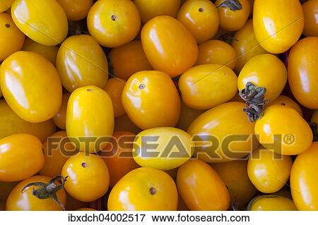 Stock Photo - Yellow cherry tomatoes. Fotosearch
