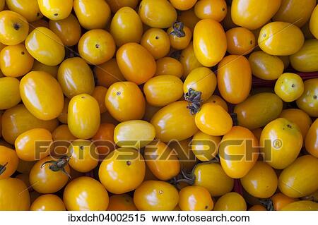 Yellow cherry tomatoes View Large Photo Image Stock Photography - Yellow cherry tomatoes. Fotosearch