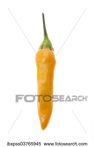 Stock Photography - Yellow chili pepper. Fotosearch