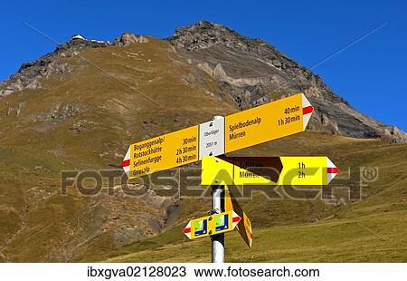 "Yellow hiking signposts on an alpine pasture below Schilthorn Mountain in the Muerren hiking area, Bernese Oberland, Switzerland, Europe" View Large Photo Image Stock Image - "Yellow hiking signposts on an alpine pasture below Schilthorn Mountain in the Muerren hiking area, Bernese Oberland, Switzerland, Europe". Fotosearch