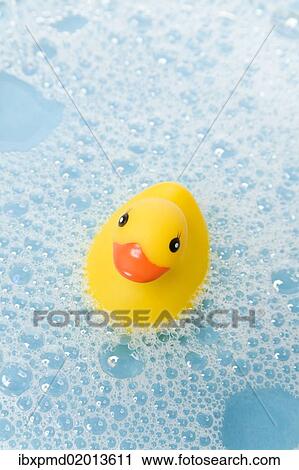 Yellow rubber duck in water View Large Photo Image Stock Image - Yellow rubber duck in water. Fotosearch