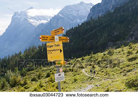 "Yellow signpost to the Eiger Trail or Grindelwald below the Eiger North Face, hiking and trekking route, Bear Trek, Grindelwald, Berner Oberland, Berner Alpen, Canton of Bern, Switzerland, Europe" View Large Photo Image Stock Image - "Yellow signpost to the Eiger Trail or Grindelwald below the Eiger North Face, hiking and trekking route, Bear Trek, Grindelwald, Berner Oberland, Berner Alpen, Canton of Bern, Switzerland, Europe". Fotosearch