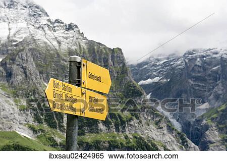 Stock Photography - "Yellow signposts between Grosse Scheidegg Pass and Grindelwald, Bernese Oberland, Canton of Bern, Alps, Switzerland, Europe". Fotosearch