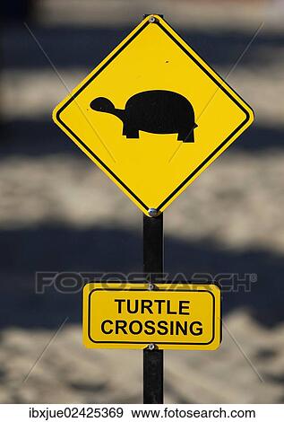 "Yellow warning sign """"turtle crossing"""", turtles crossing the beach for laying their eggs, Manavgat, Turkey, Asia" View Large Photo Image Stock Photo - "Yellow warning sign """"turtle crossing"""", turtles crossing the beach for laying their eggs, Manavgat, Turkey, Asia". Fotosearch