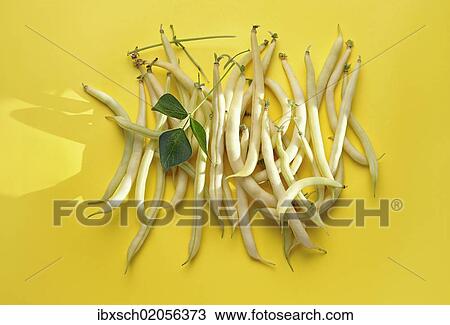 Yellow wax beans View Large Photo Image Stock Image - Yellow wax beans. Fotosearch
