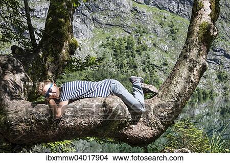 "Young Man with sunglasses relaxing on a tree branch, Obersee, Salet am Konigssee, National Park Berchtesgaden, Berchtesgadener Land district, Upper Bavaria, Bavaria, Germany, Europe" View Large Photo Image Picture - "Young Man with sunglasses relaxing on a tree branch, Obersee, Salet am Konigssee, National Park Berchtesgaden, Berchtesgadener Land district, Upper Bavaria, Bavaria, Germany, Europe". Fotosearch