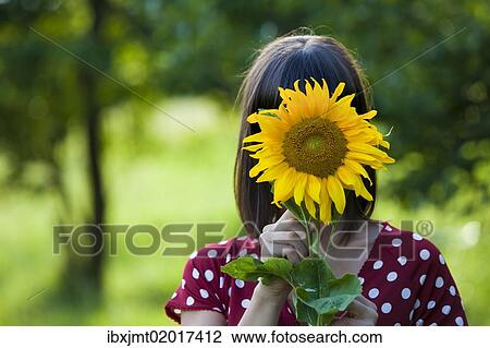 "Young woman, 25, holding a sunflower in front of her face" View Large Photo Image Stock Image - "Young woman, 25, holding a sunflower in front of her face". Fotosearch