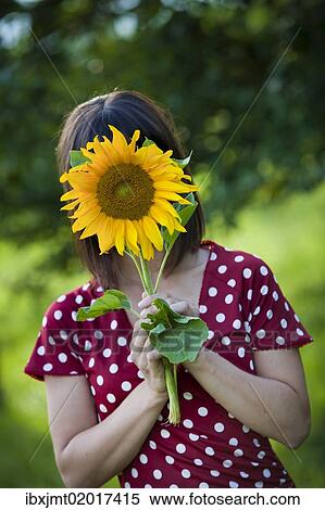 "Young woman, 25, holding a sunflower in front of her face" View Large Photo Image Stock Photography - "Young woman, 25, holding a sunflower in front of her face". Fotosearch