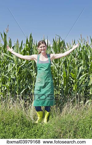 "Young woman in work clothes standing with outstretched arms in front of a maize field, Baden-Wurttemberg, Germany, Europe" View Large Photo Image Stock Photo - "Young woman in work clothes standing with outstretched arms in front of a maize field, Baden-Wurttemberg, Germany, Europe". Fotosearch