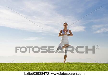 "Young woman practising Hatha yoga, here the pose vrikshasana, tree" View Large Photo Image Stock Image - "Young woman practising Hatha yoga, here the pose vrikshasana, tree". Fotosearch