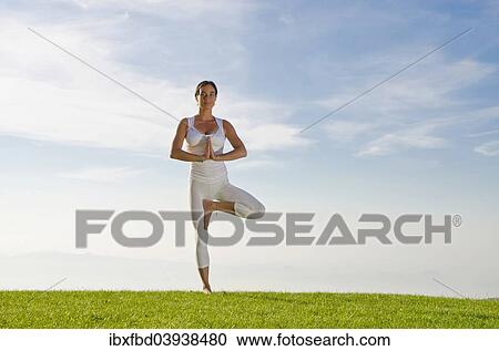 "Young woman practising Hatha yoga, here the pose vrikshasana, tree" View Large Photo Image Stock Image - "Young woman practising Hatha yoga, here the pose vrikshasana, tree". Fotosearch