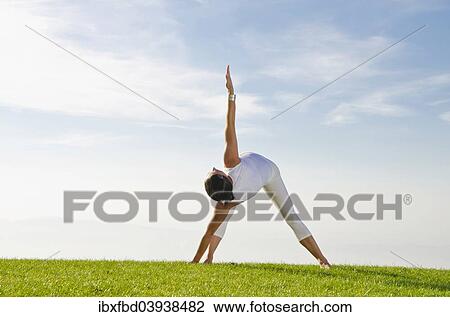 "Young woman practising Hatha yoga, here the pose parivritta trikonasana, twisted triangle" View Large Photo Image Stock Image - "Young woman practising Hatha yoga, here the pose parivritta trikonasana, twisted triangle". Fotosearch