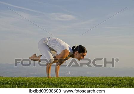 "Young woman practising Hatha yoga, here the pose kakasana, bakasana, crow pose, crane pose" View Large Photo Image Stock Image - "Young woman practising Hatha yoga, here the pose kakasana, bakasana, crow pose, crane pose". Fotosearch